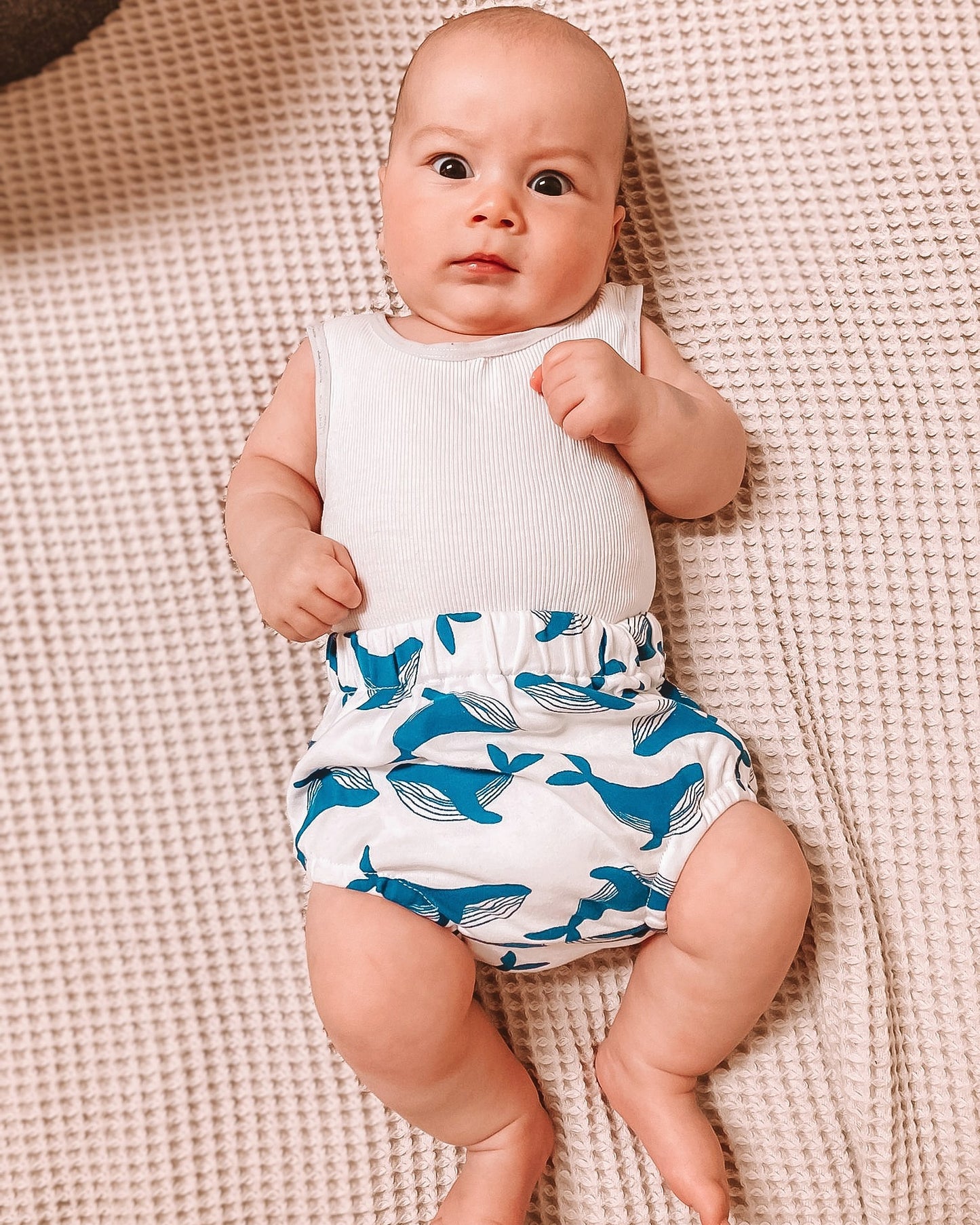 Bib & Bloomers Set - Whale